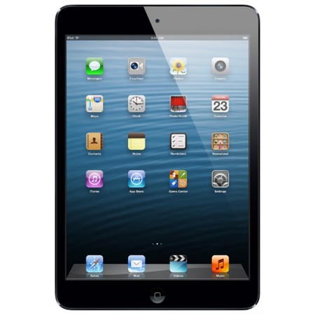 Apple iPad mini 64Gb Wi-Fi черный - Котовск