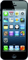 Apple iPhone 5 64GB - Котовск