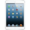 Apple iPad mini 32Gb Wi-Fi + Cellular белый - Котовск
