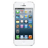 Apple iPhone 5 16Gb white - Котовск